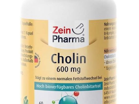 Zein Pharma Choline, 600mg - 60 caps Online