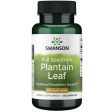 Swanson Full Spectrum Plantain Leaf, 400mg - 60 caps Fashion