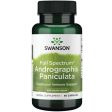 Swanson Full Spectrum Andrographis Paniculata, 400mg - 60 caps Hot on Sale