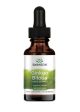 Swanson Ginkgo Biloba Liquid Extract, 250mg - 29 ml Online