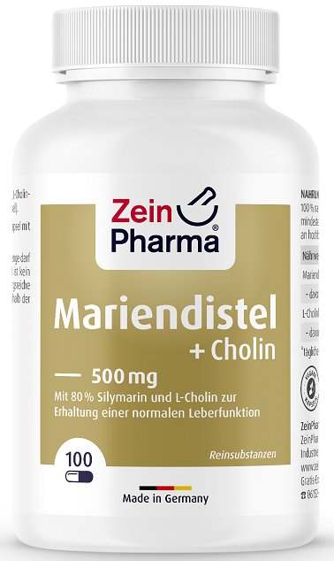 Zein Pharma Milk Thistle + Choline, Liver Complex - 100 caps Hot on Sale