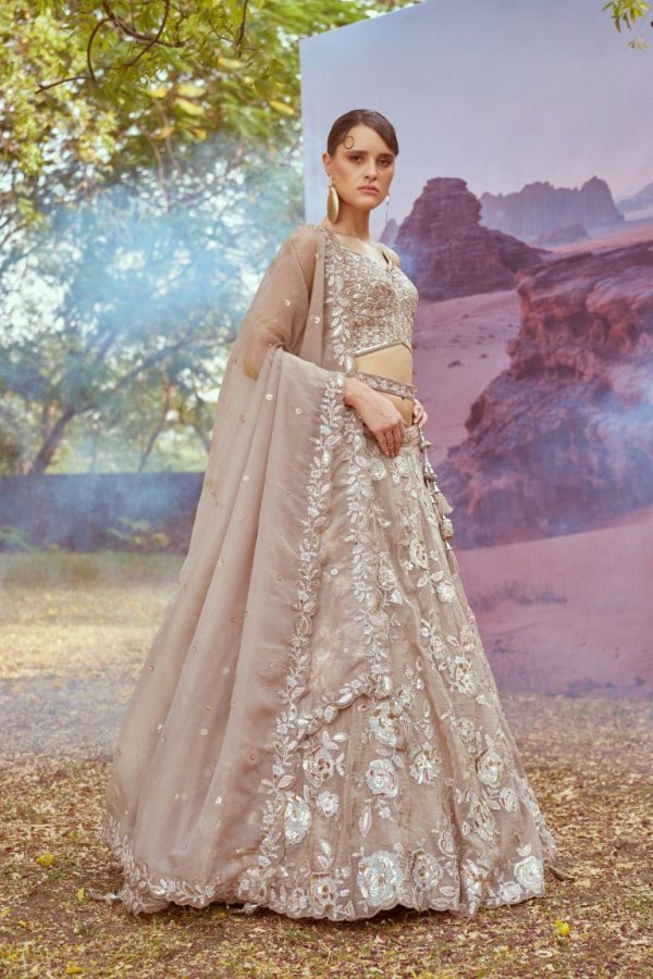 Aastha Fashion Beige Organza Beads And Stones Lehenga Choli Discount