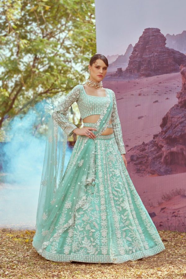 Aastha Fashion Seagreen Organza Embroidery Lehenga Choli Cheap