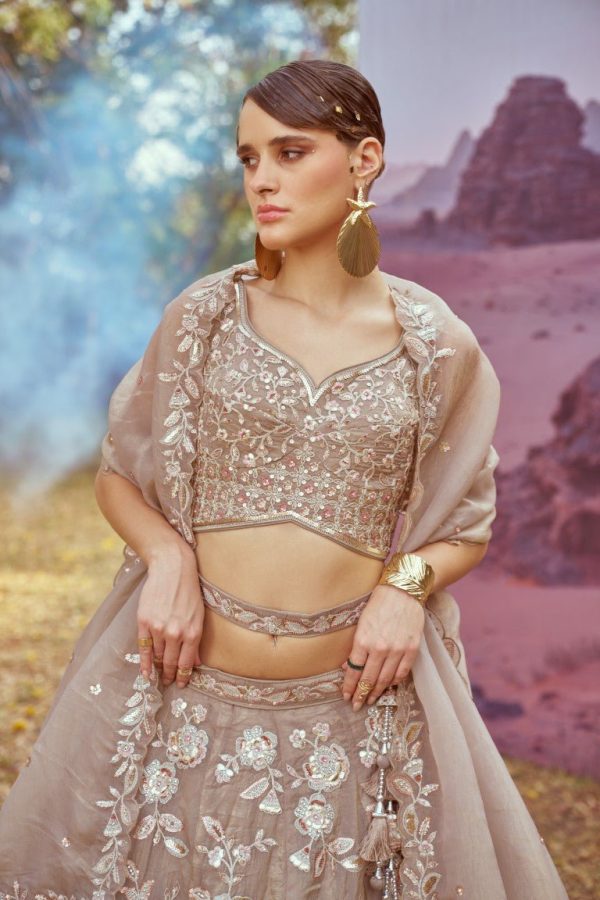 Aastha Fashion Beige Organza Beads And Stones Lehenga Choli Discount