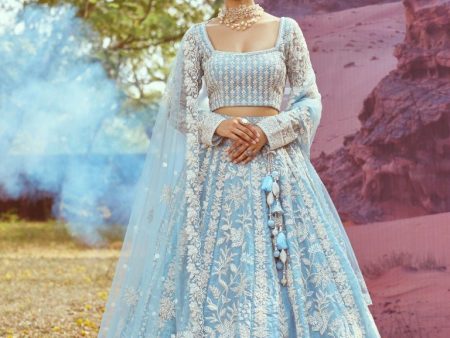 Aastha Fashion Blue Organza Embroidery Lehenga Choli For Cheap