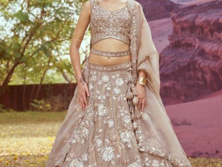 Aastha Fashion Beige Organza Beads And Stones Lehenga Choli Discount